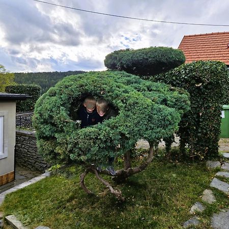 Huette Auf 1000M Hoehe In Moenichkirchen. Bagian luar foto